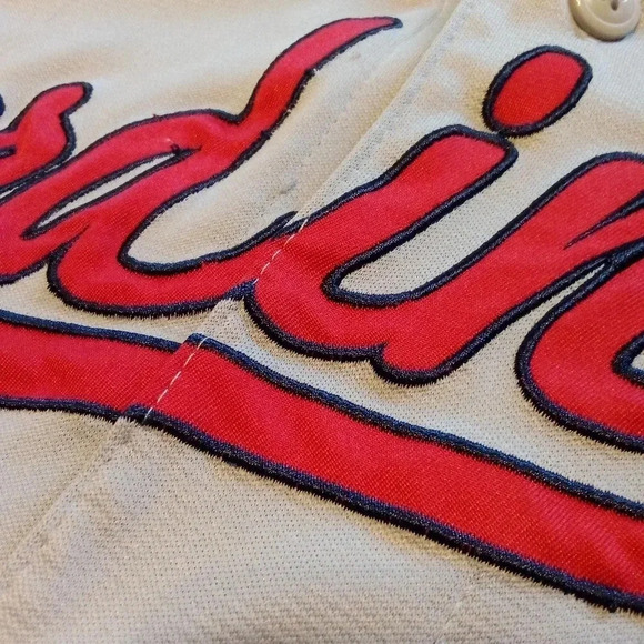 St Louis Cardinals Jersey Mens Large Gray Red True Fan MLB Baseball - Picture 8 of 9